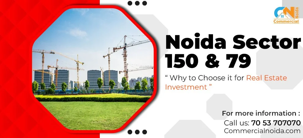 Noida Sector 150 & 79: Why to Choose it for Real Estate Investment