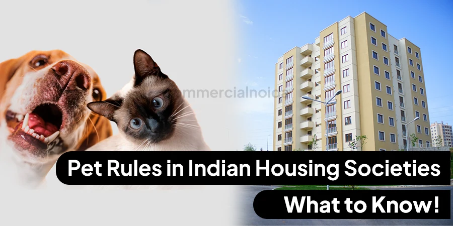 Essential Pet Rules in Indian Housing Societies Every Pet Owner Should Know