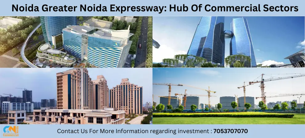 Noida Greater Noida Expressway: Hub Of Commercial Sectors